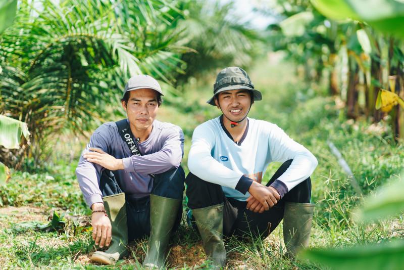 Intercropping as a Solution for Smallholders During Oil Palm Replanting
